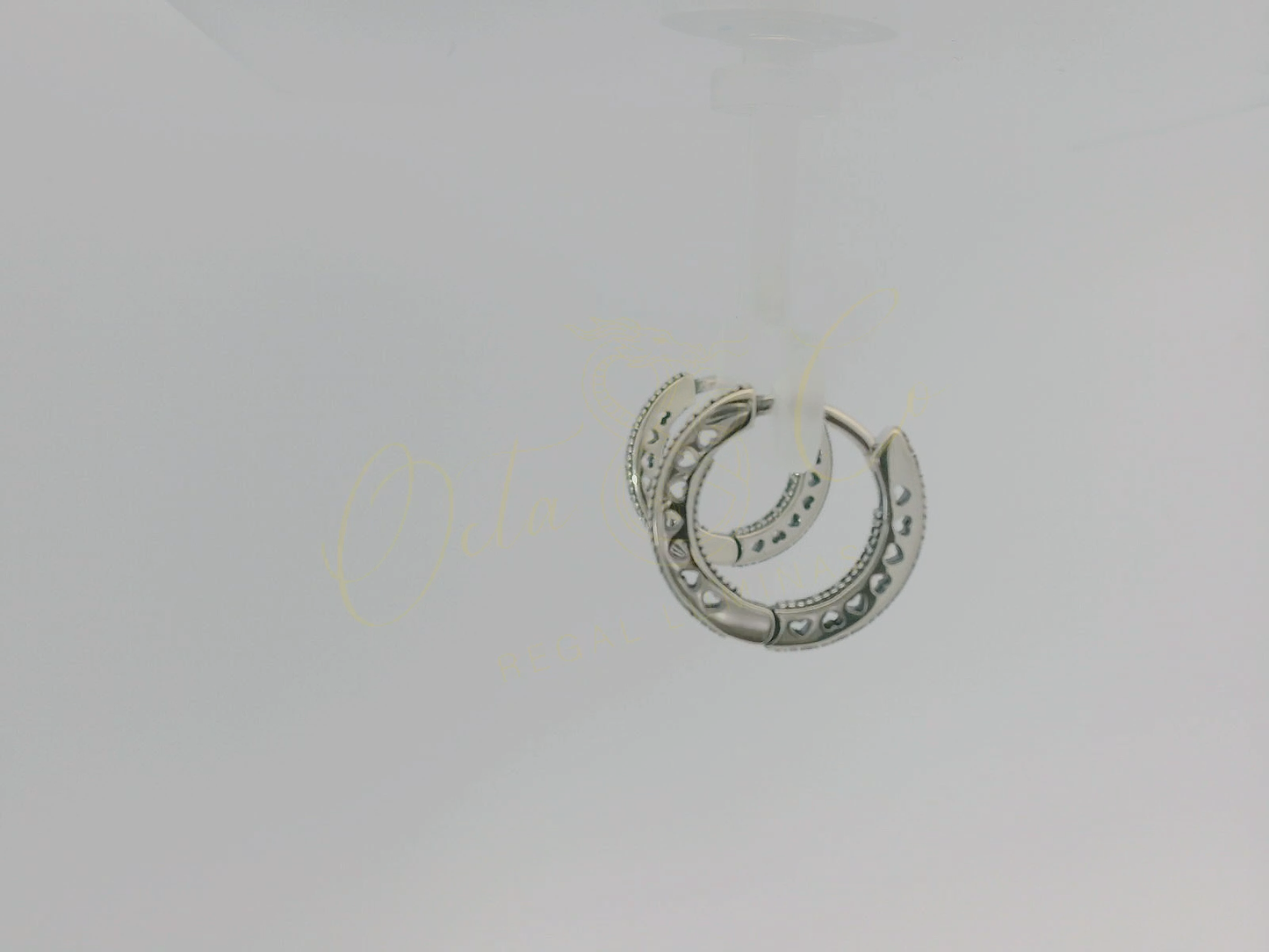 Elegant Silver Hoop Earrings