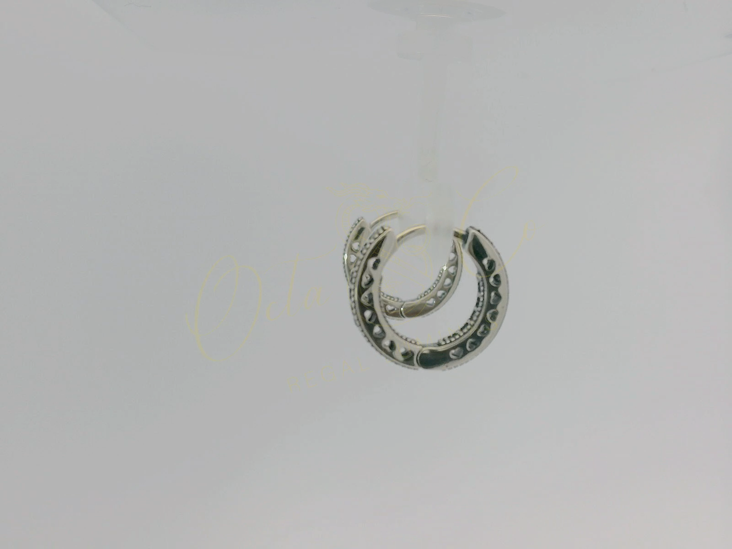 Elegant Silver Hoop Earrings